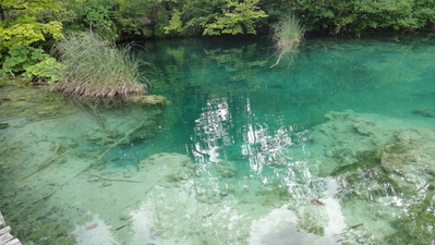 DSC02336.JPG