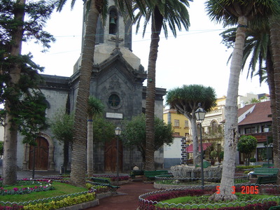 Puerto de la Cruz - DSC01886.JPG