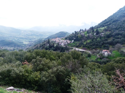 P1060400.JPG