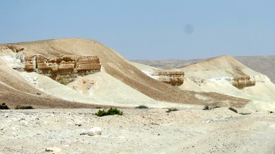 IMG_0771 (Large).JPG