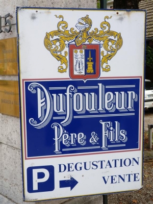 5.5 Nuits-St-Georges - P1090439 (Medium).JPG