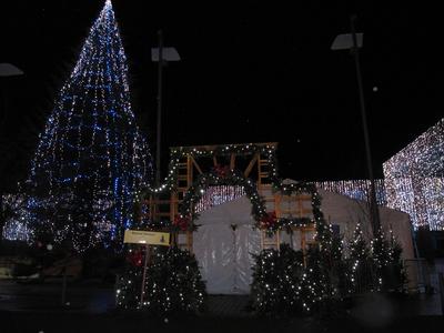 IMG_6375 (Large).JPG