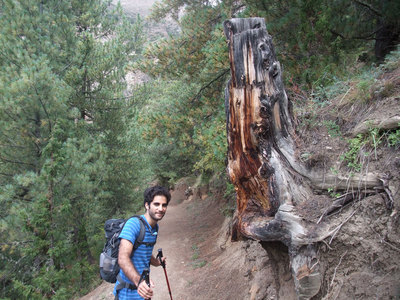 DSCF6599.jpg