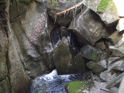 DSCF0318.JPG