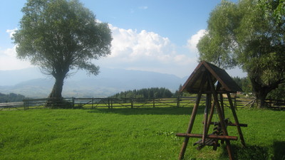 IMG_5571.JPG