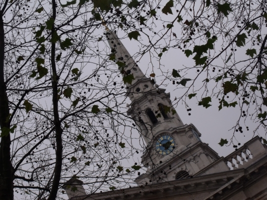 DSCF6037.JPG