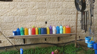 IMG_0254 (Large).JPG