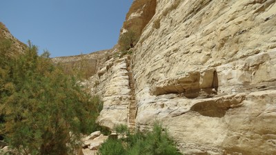 המדרגות למפלס העליון של הקניון