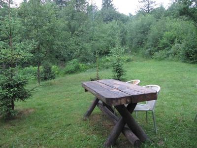 IMG_3320 (Medium).JPG