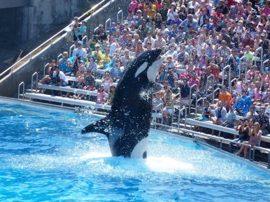 Sea World
