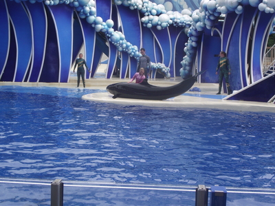DSCF0406.JPG
