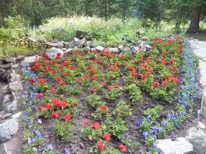 Cascade Gardens