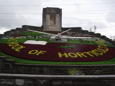 DSCF1461.JPG