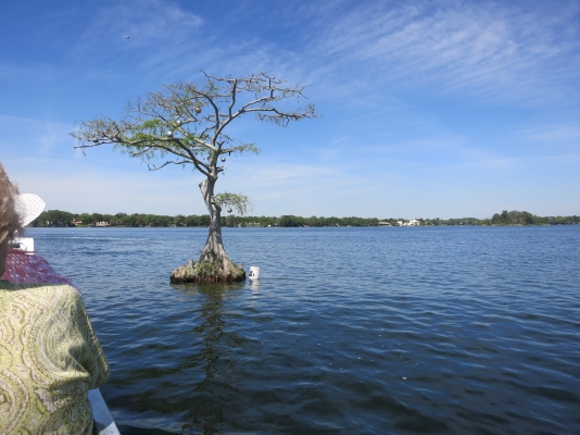 IMG_3010.JPG