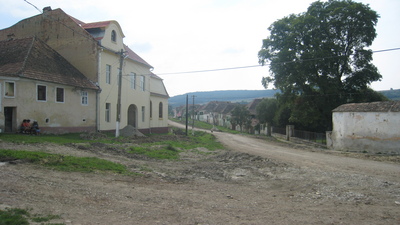 IMG_5728.JPG