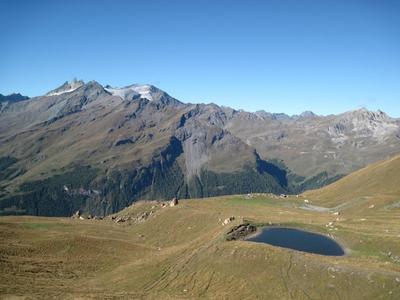 אחו אלפיני גבוה, בדרך ל- Col du Torrent.