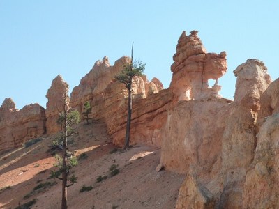 Mossy Cave Trail, רגע לפני ברייס.
