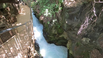 IMG_0099 (Large).JPG