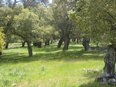 IMG_8267.JPG