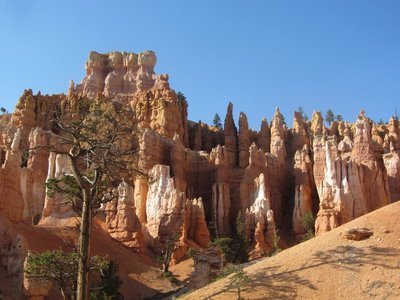 IMG_8690.JPG