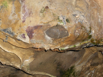 DSCN0124: עין של חייזר ?