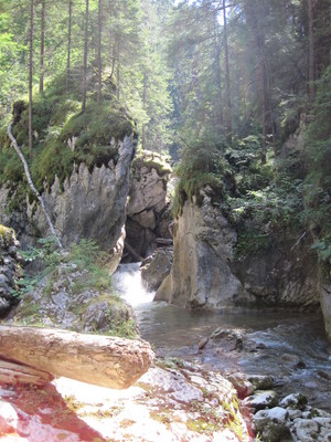 IMG_0094.JPG