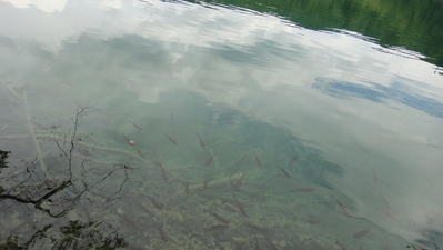 DSC02241.JPG