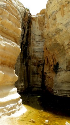 IMG_0836 (Large).JPG