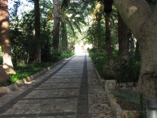 גן המוזאון בסירקוז