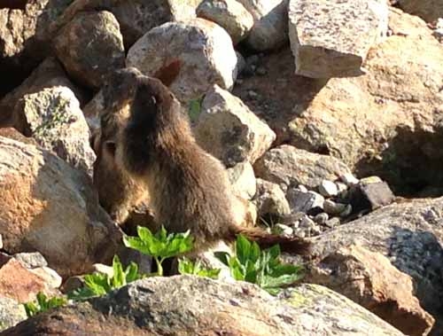 IMG_1115.JPG