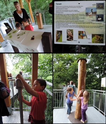 Treetop Trail מסלול טיול בגובה העצים