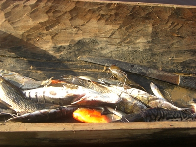 CIMG6801.jpg