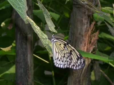 PO20120704_0200.JPG