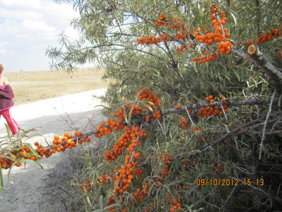 ארמניה 4-14.10.2012 365.jpg