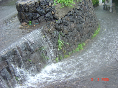Masca - DSC01711.JPG