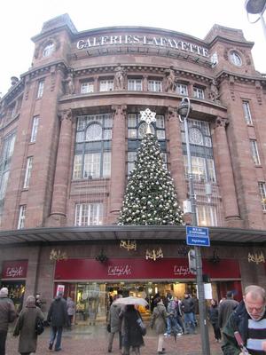 IMG_6072 (Large).JPG