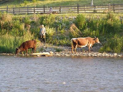 P6180203 (Medium).JPG