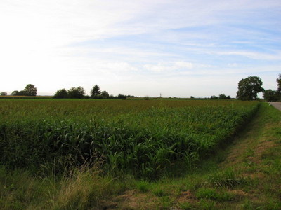 IMG_3347.JPG