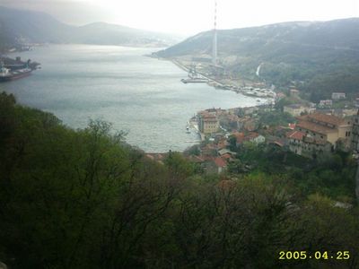 IMAGE0002.JPG.JPG