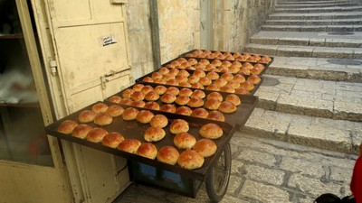 IMG_0421 (Large).JPG