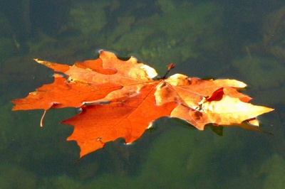 IMG_1714.JPG