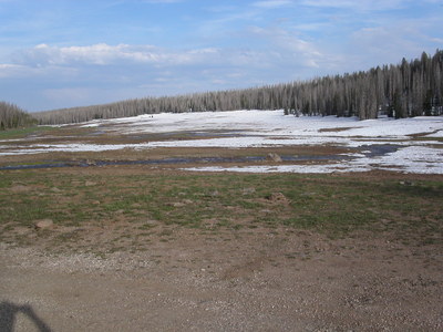 Dixie National Forest - כביש 14