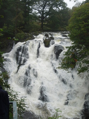 swallow falls