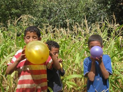תחרות ניפוח בלונים בעיצומה