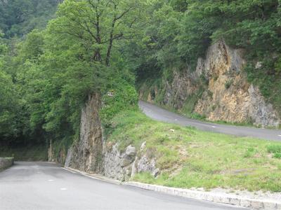 IMG_5000 (Large).JPG