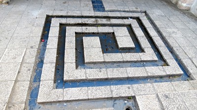 IMG_0201 (Large).JPG