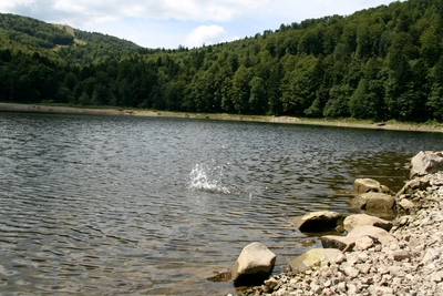lac.jpg
