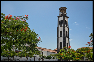 DSC_3759-Edit+fb.jpg