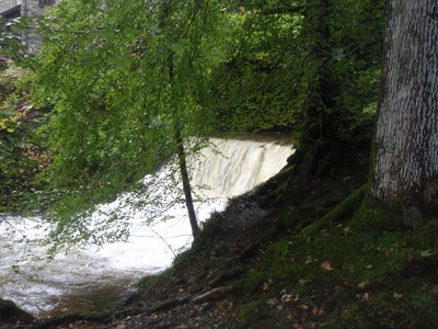 Stockghyll force