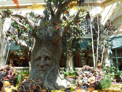 הגן הבוטני המקסים מלון Bellagio, לאס וגאס.